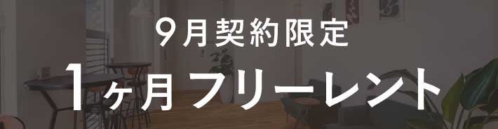 キャンペーン