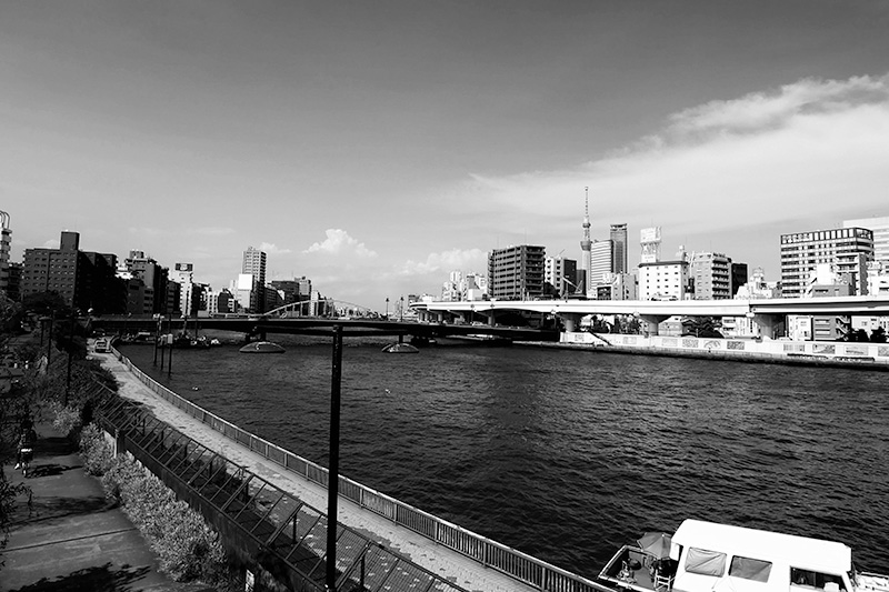 その他エリアイメージ