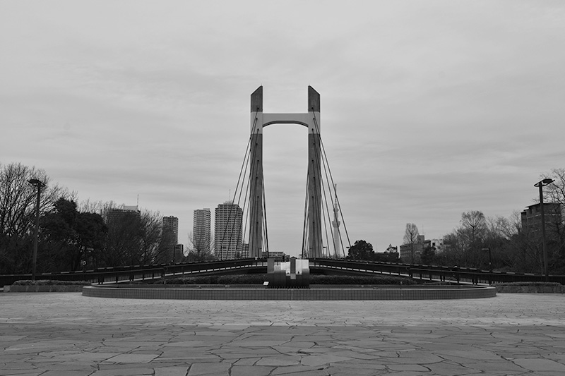 その他エリアイメージ