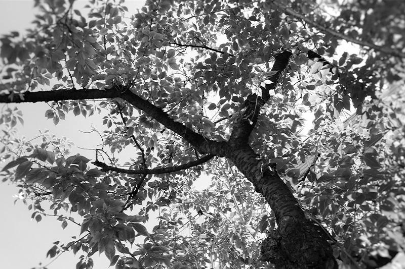 その他エリアイメージ