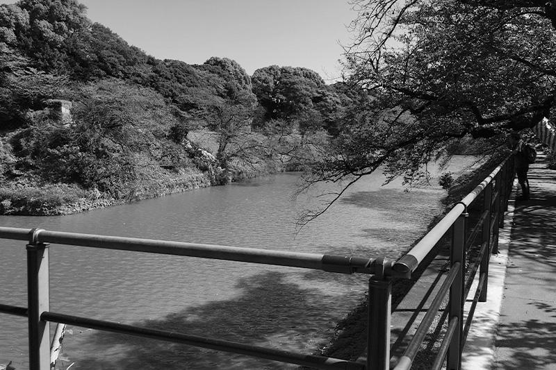 その他エリアイメージ