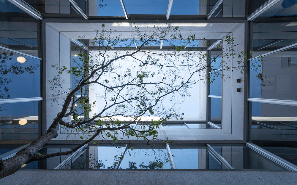 Inner Garden - Atrium