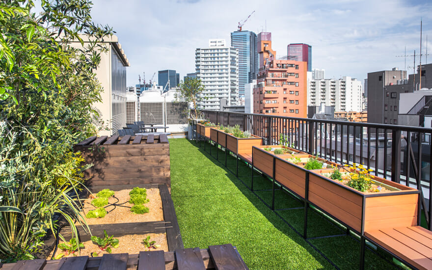 SNUG｜Rooftop