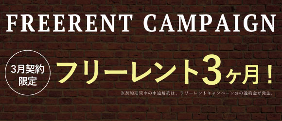 FREERENT CAMPAIGN | PINE UNDER FLAT