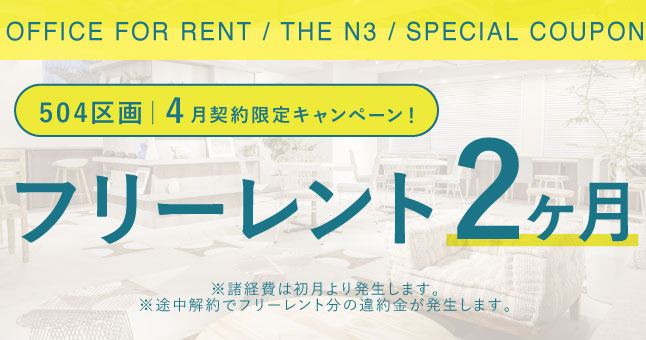 THE N3 キャンペーン