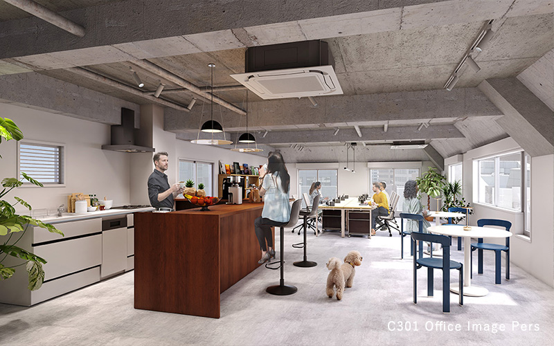 C301 Office Image pers